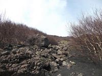 rra delle Concazze-201100508 099
